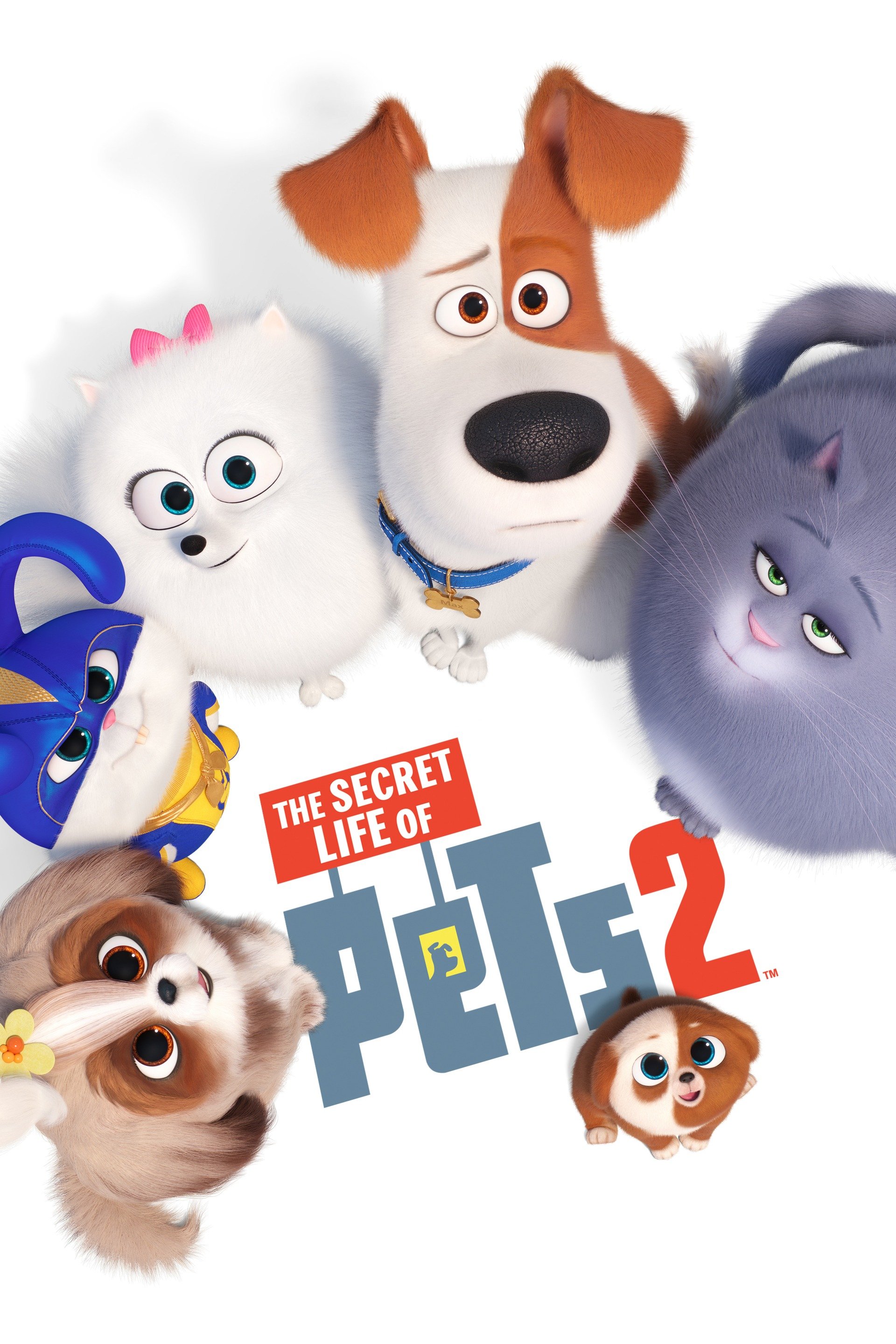 The Secret Life of Pets 2 (2019) [289727] (A1708528928) [[Movies]] --Plex--